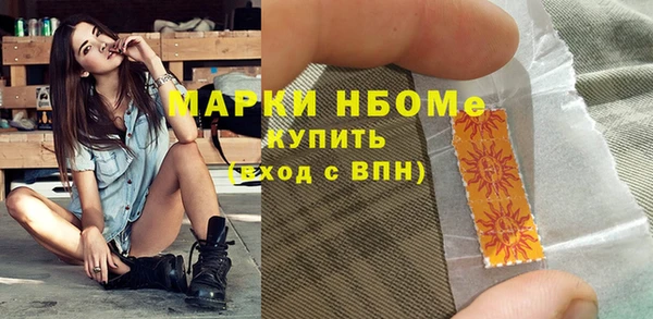 шишки Заволжск