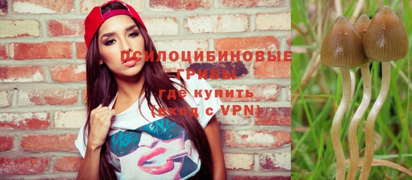 шишки Заволжск