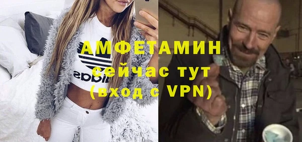 шишки Заволжск