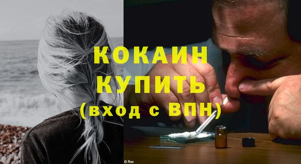 шишки Заволжск