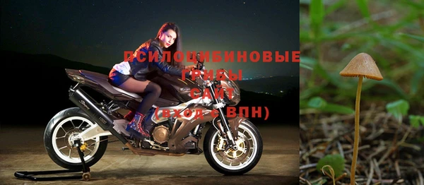 шишки Заволжск