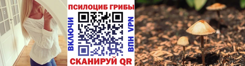цены наркотик  Ишимбай  Галлюциногенные грибы MAGIC MUSHROOMS 